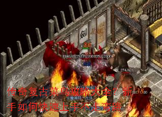 ���渴�Ų����Դ�ȫ��������ο������ֲ�����·