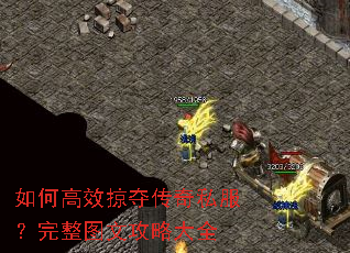 ��θ�Ч�Ӷᴫ��˽��������ͼ�Ĺ��Դ�ȫ